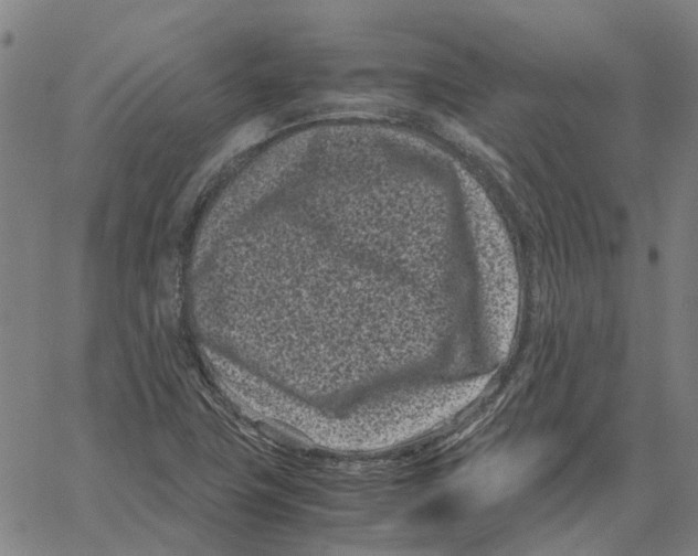 X0000062631411200601181708