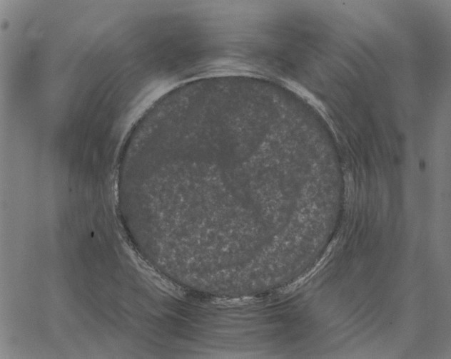 X0000062631415200601181708