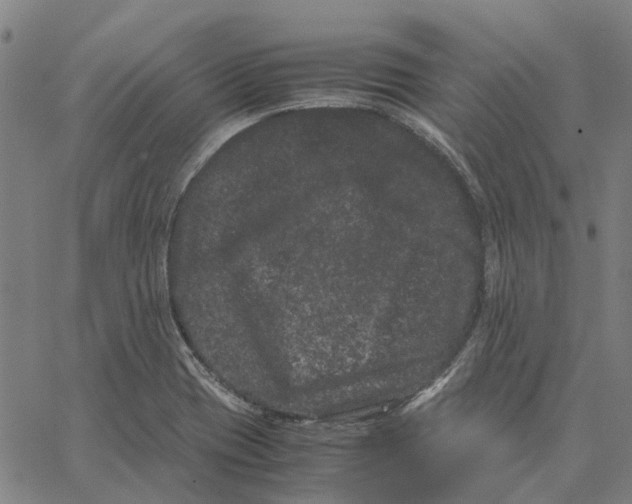 X0000062631417200601181708