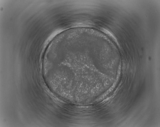 X0000062631419200601181708