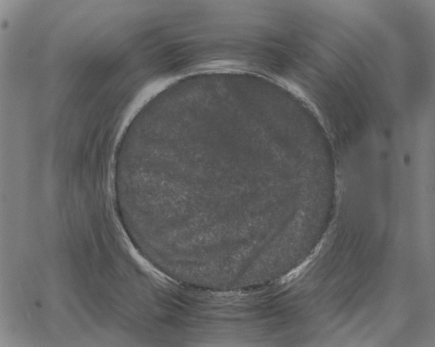 X0000062631421200601181708