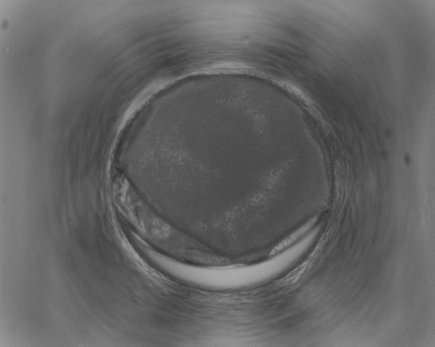 X0000062631422200601181708