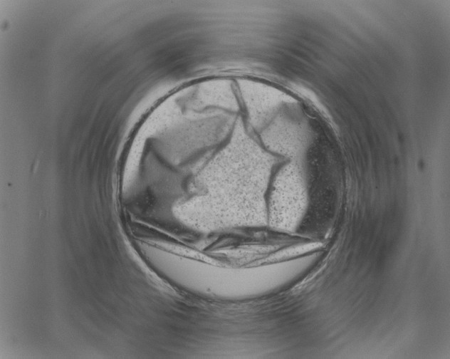 X0000062631424200601181708