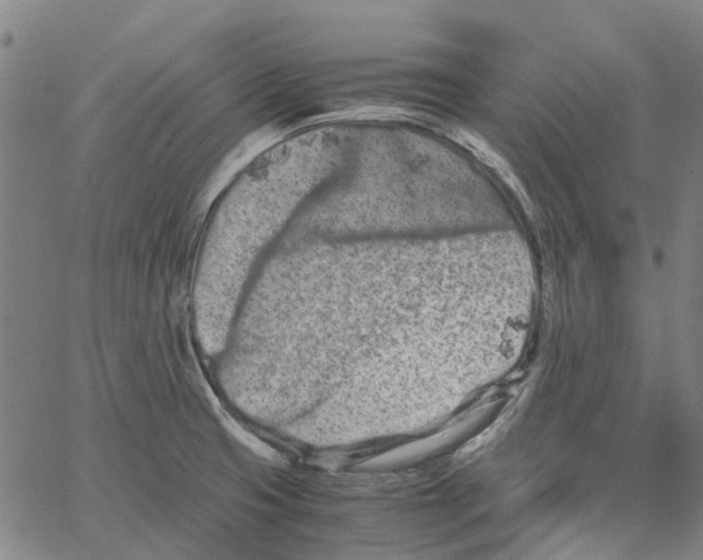 X0000062631425200601181708