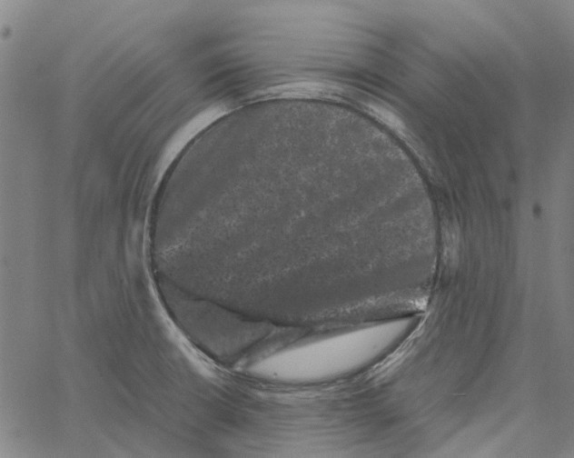 X0000062631426200601181708