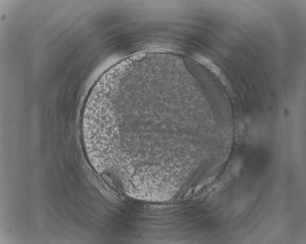 X0000062631427200601181708