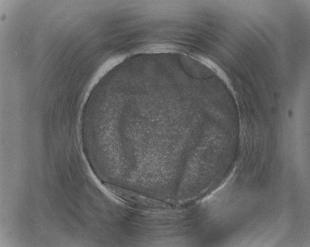 X0000062631429200601181708