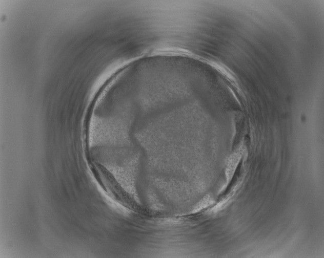 X0000062631430200601181708