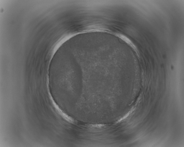 X0000062631431200601181708