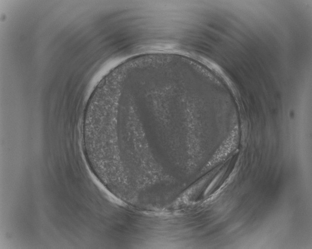 X0000062631432200601181708