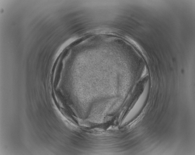 X0000062631434200601181708