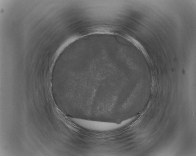 X0000062631435200601181708