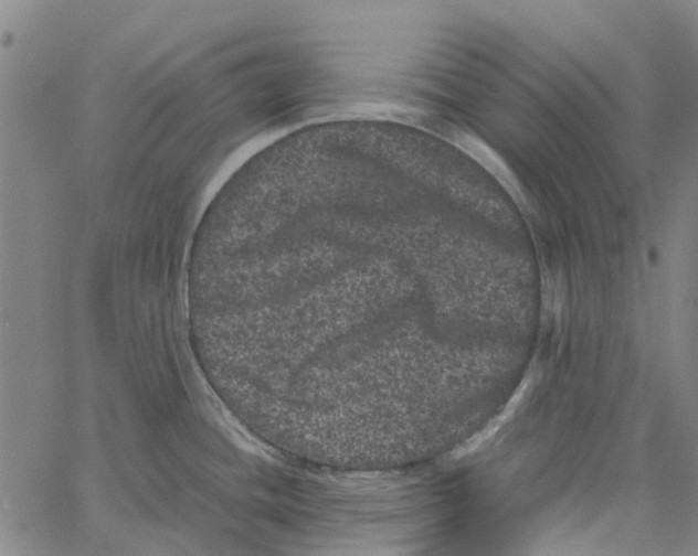 X0000062631436200601181708