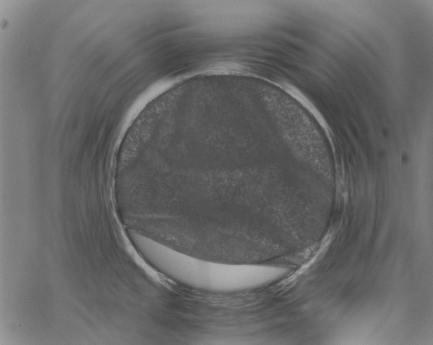 X0000062631437200601181708