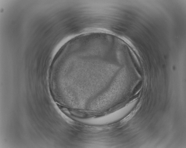 X0000062631438200601181709