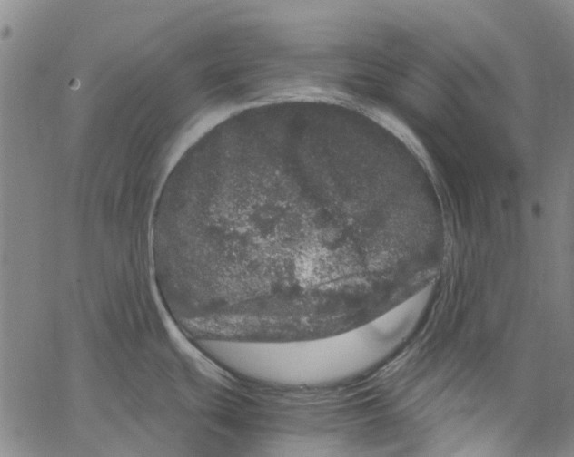 X0000062631439200601181709