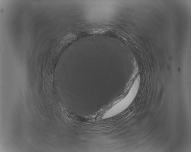 X0000062631441200601181708