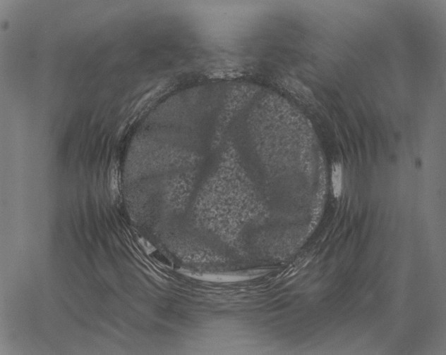 X0000062631444200601181708