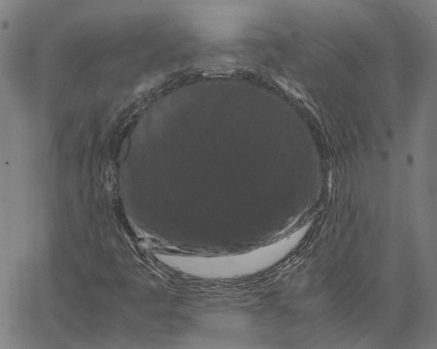 X0000062631445200601181708