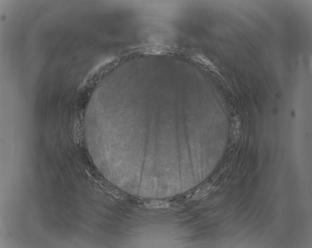 X0000062631446200601181708