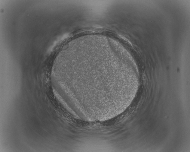 X0000062631447200601181708