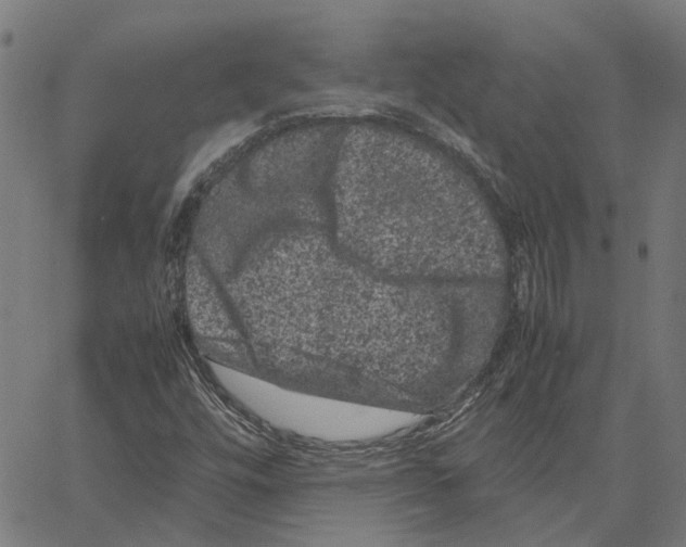 X0000062631448200601181708