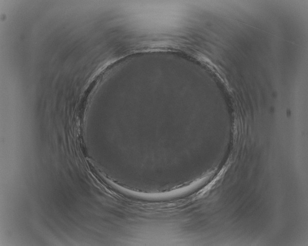 X0000062631449200601181708