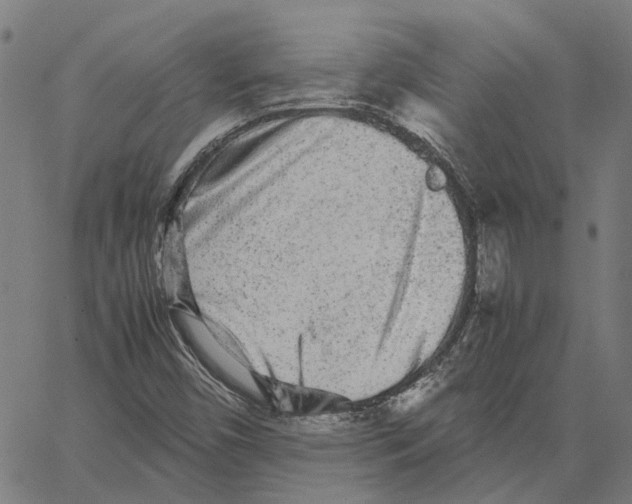 X0000062631450200601181708