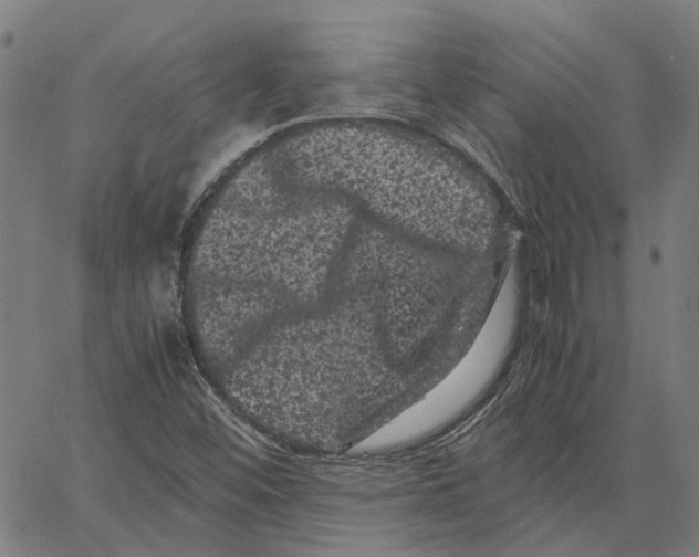 X0000062631452200601181708