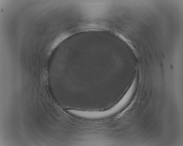 X0000062631453200601181708