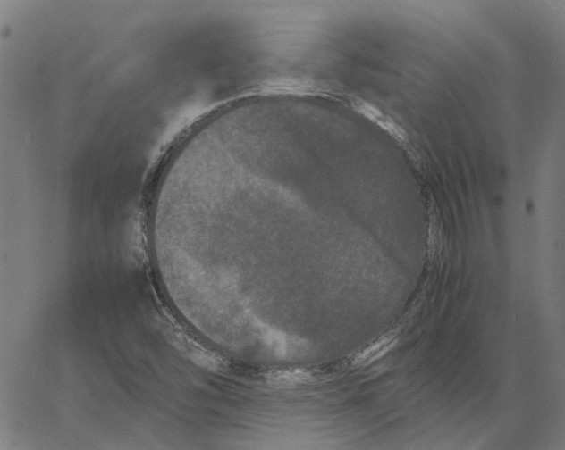 X0000062631454200601181708