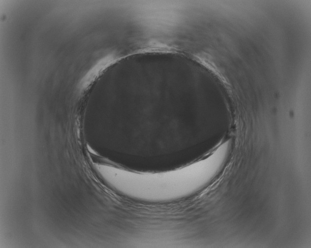 X0000062631455200601181708