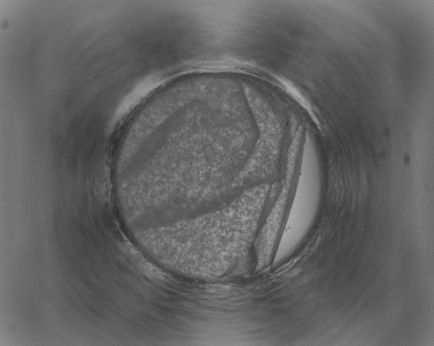 X0000062631456200601181708