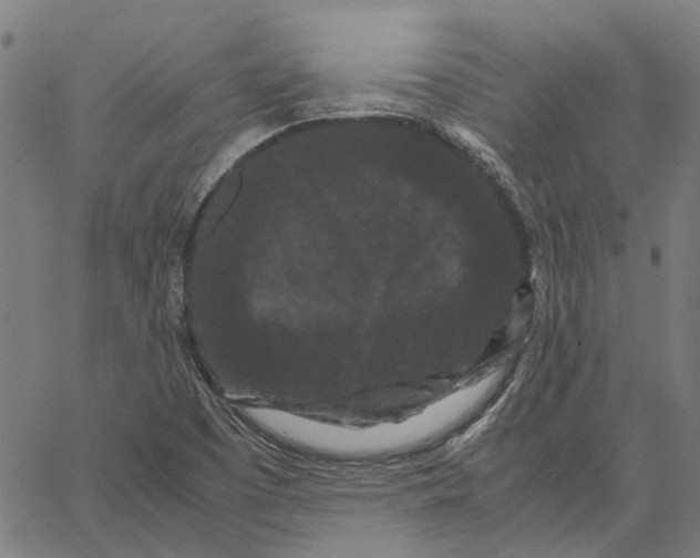 X0000062631457200601181708