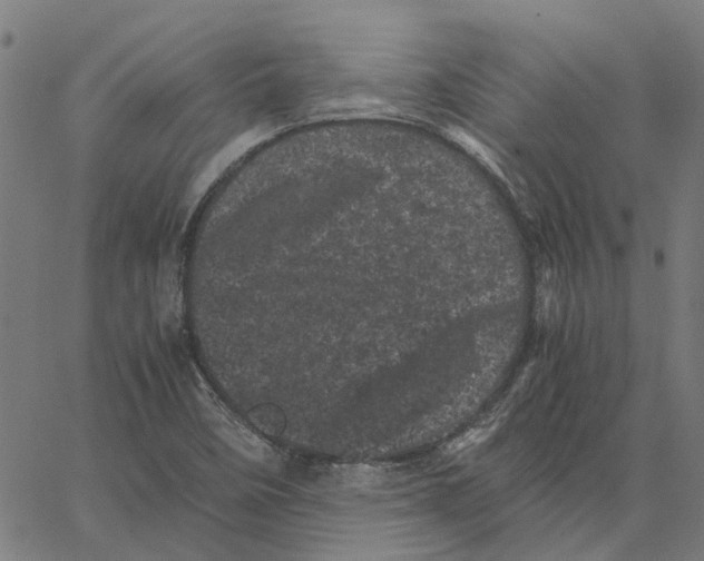 X0000062631458200601181707