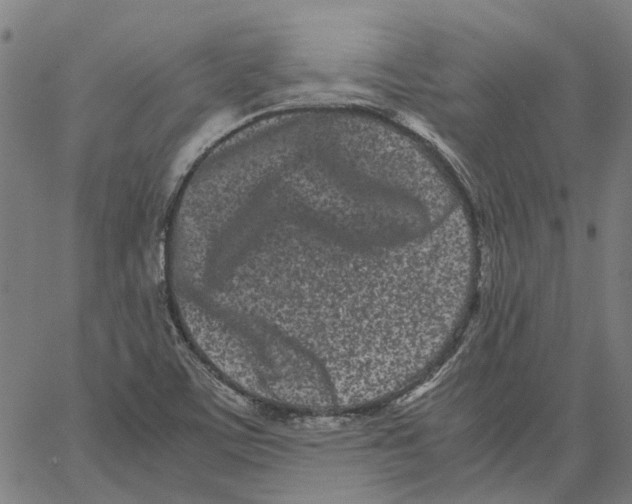 X0000062631459200601181707