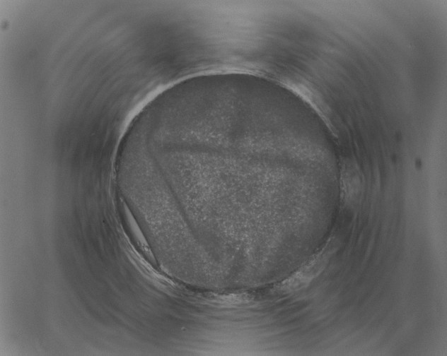 X0000062631460200601181707