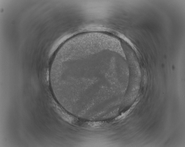 X0000062631461200601181707