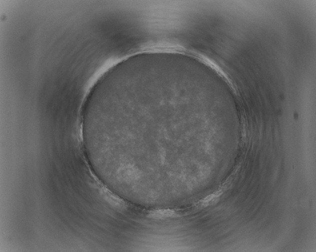 X0000062631462200601181707