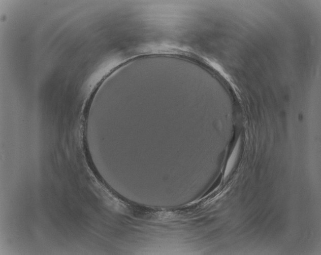 X0000062631463200601181707