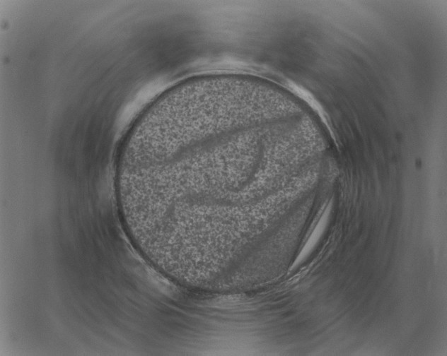 X0000062631464200601181707