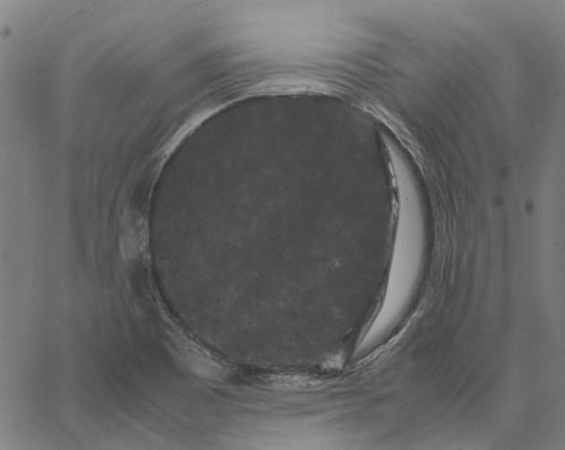 X0000062631465200601181707