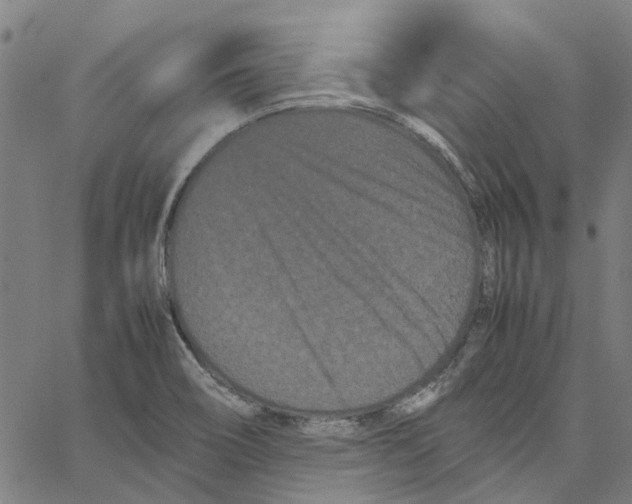 X0000062631466200601181707