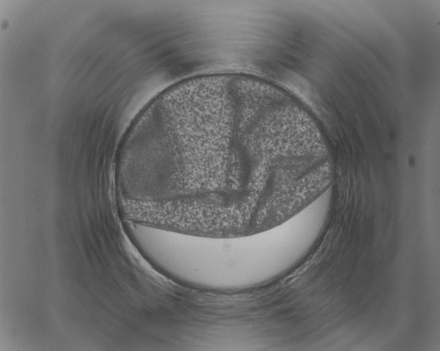 X0000062631468200601181707