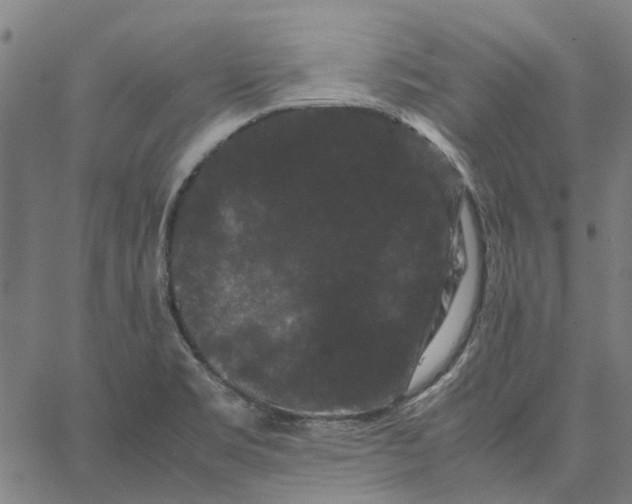 X0000062631469200601181707