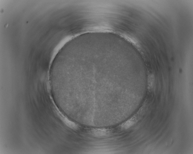 X0000062631470200601181707