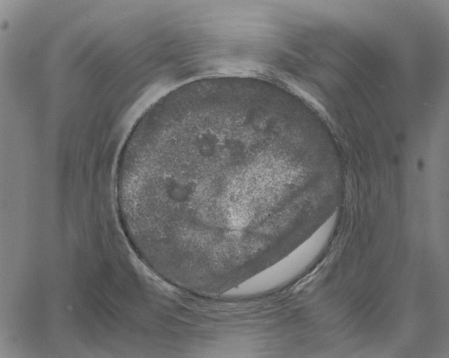 X0000062631471200601181707