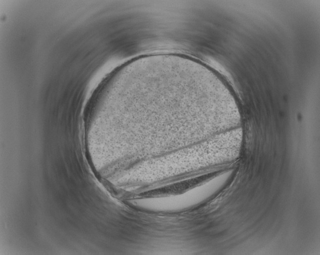 X0000062631472200601181707