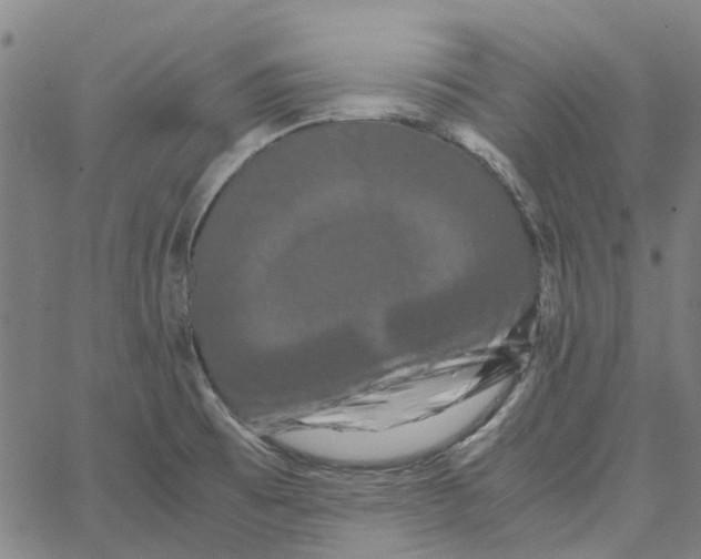 X0000062631473200601181707