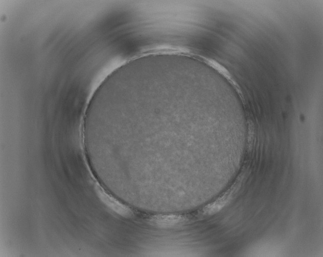 X0000062631474200601181707